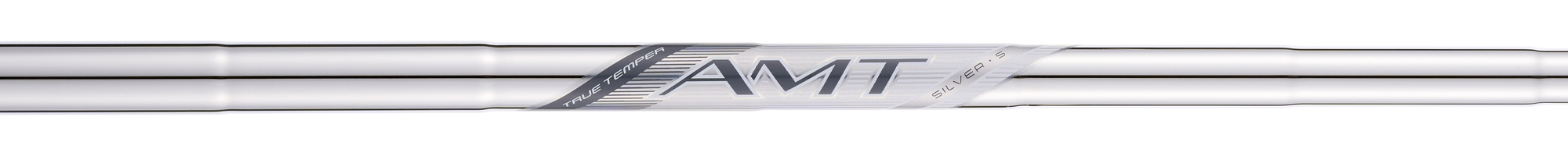 AMT Silver G2