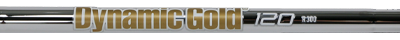 Dynamic Gold 120