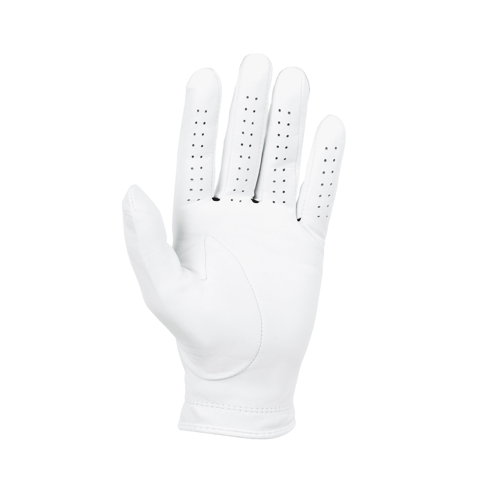 プレーヤーズ グローブ